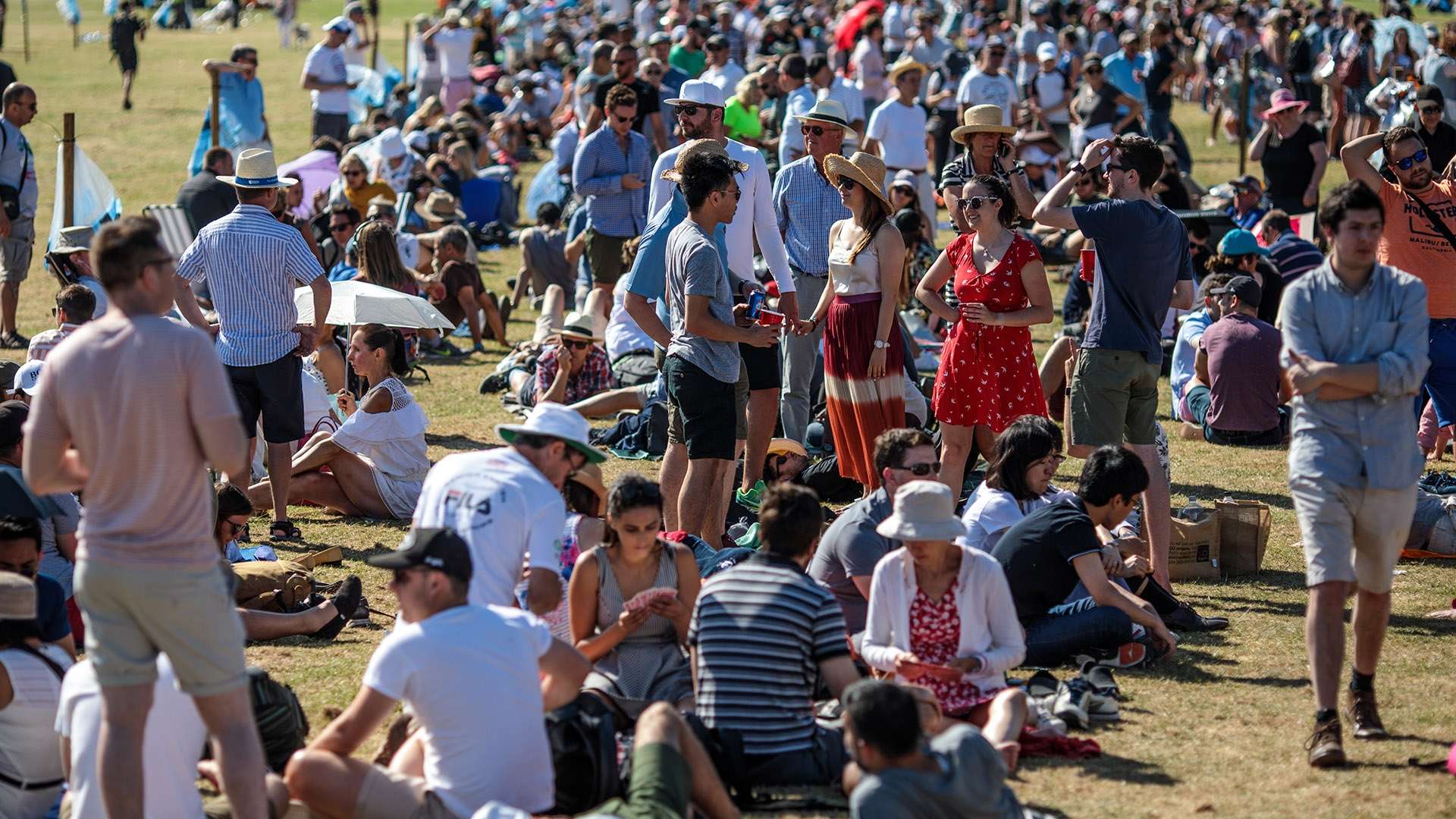 的清晰规划 的清晰规划